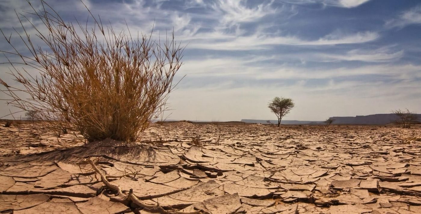Cracked earth after recurrent drought